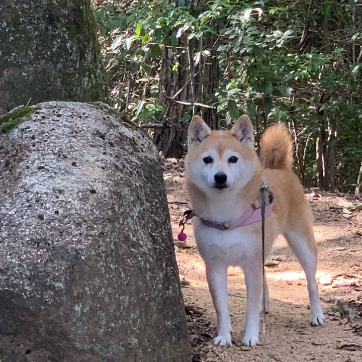 D6956ff4 692f 465a be51 6333843a62f7 1697263032494