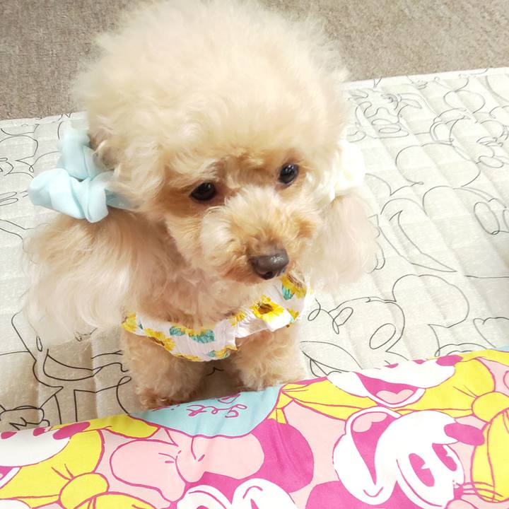 D695aa56 84e3 41f4 9f3f b299de9eacda 1564917831757