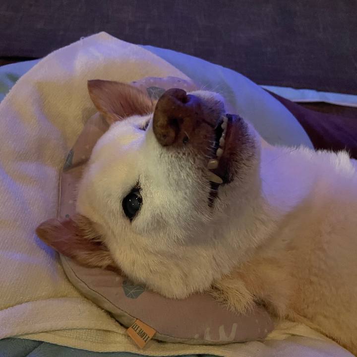 D695b07d 18f4 4d28 b1aa 35d540e2af36 1677581731155