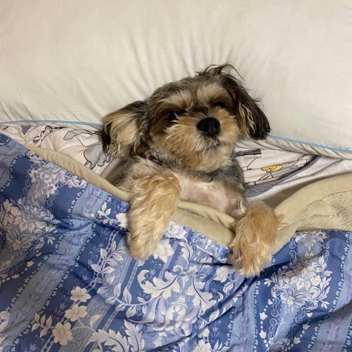 D695c698 e084 4cb5 ae59 ea498257b27e 1636464105621