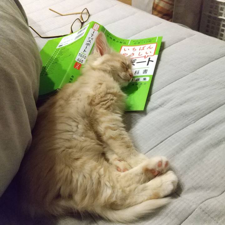 D695e01e 3c2e 446d 888e 820107aee297 1604755573997