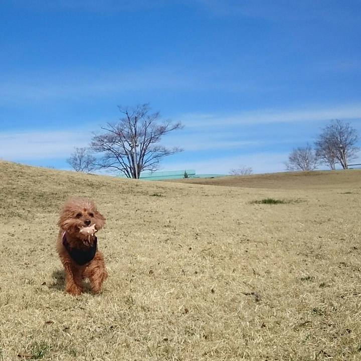 D695f4be 848f 4c57 81ac 6f9f2f7d601e 1521705267426