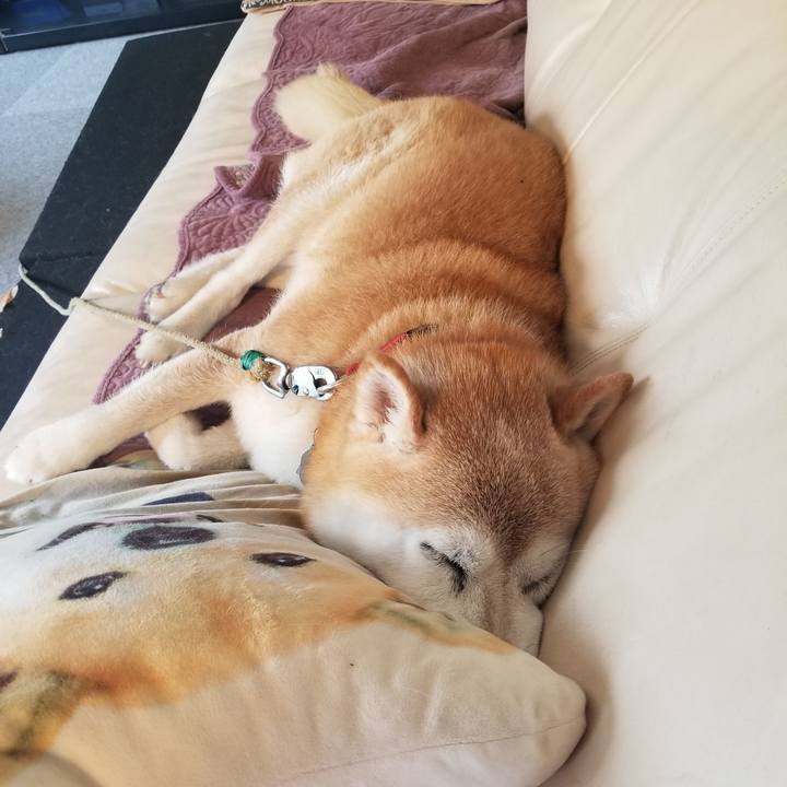 D6960c57 6fc3 4981 9ea1 3a71b1df35d4 1721527615557