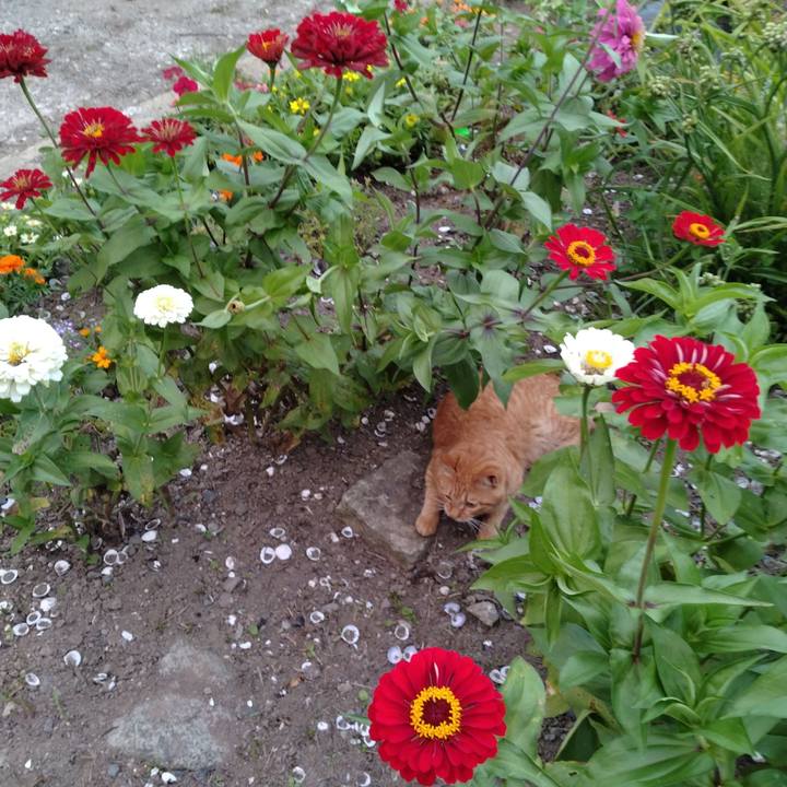 D6967c47 5192 45d5 8b58 d5a05ca280d8 1690195727048