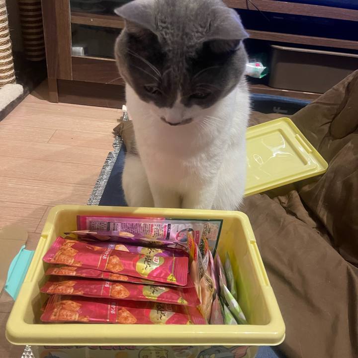 D6969dc3 3f7a 4b6d bcf6 720717f82032 1702648792236