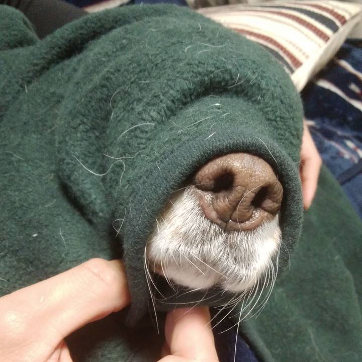 D696a5b5 a53f 48f3 816c ce29fb465795 1547209884572