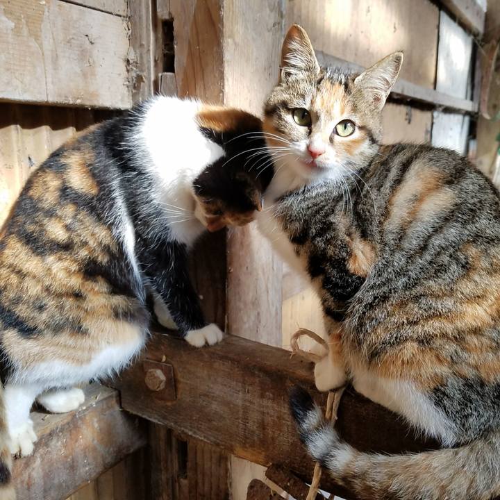 D696fe7b 5c57 4097 bad6 e13cc672abc4 1512188323079