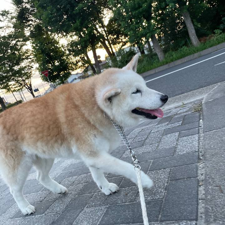 D6970ed1 6cf2 41ba b655 0fee01785dbe 1689469231399