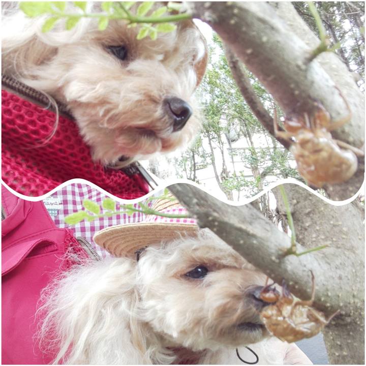 D6972ec6 5cfa 4c48 8cf8 bb98f43b10d7 1598430008755