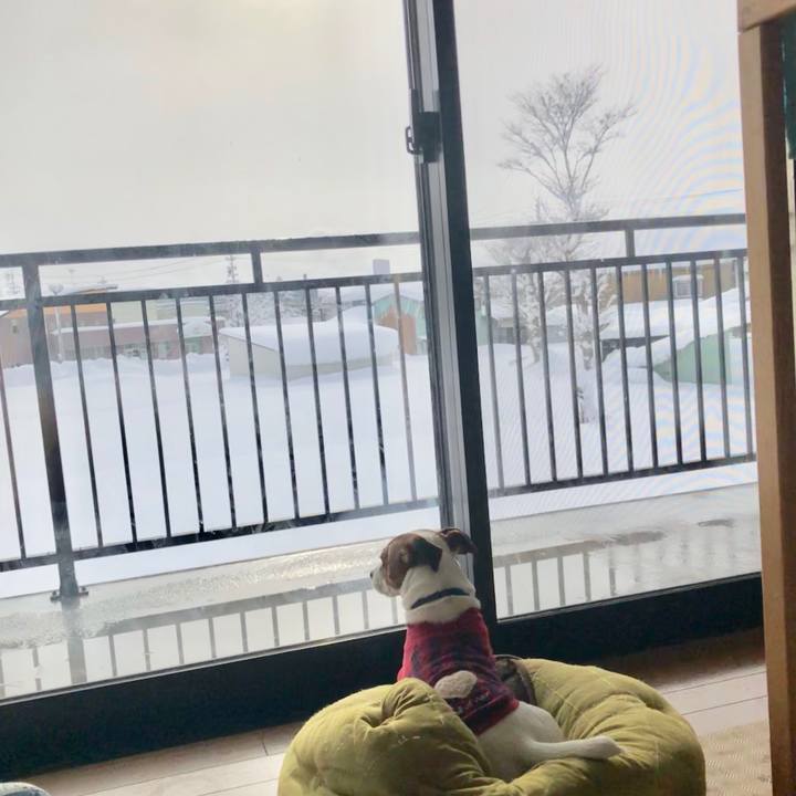 D6973874 0778 4c44 bce3 caf4ded5e5cb 1548117955033