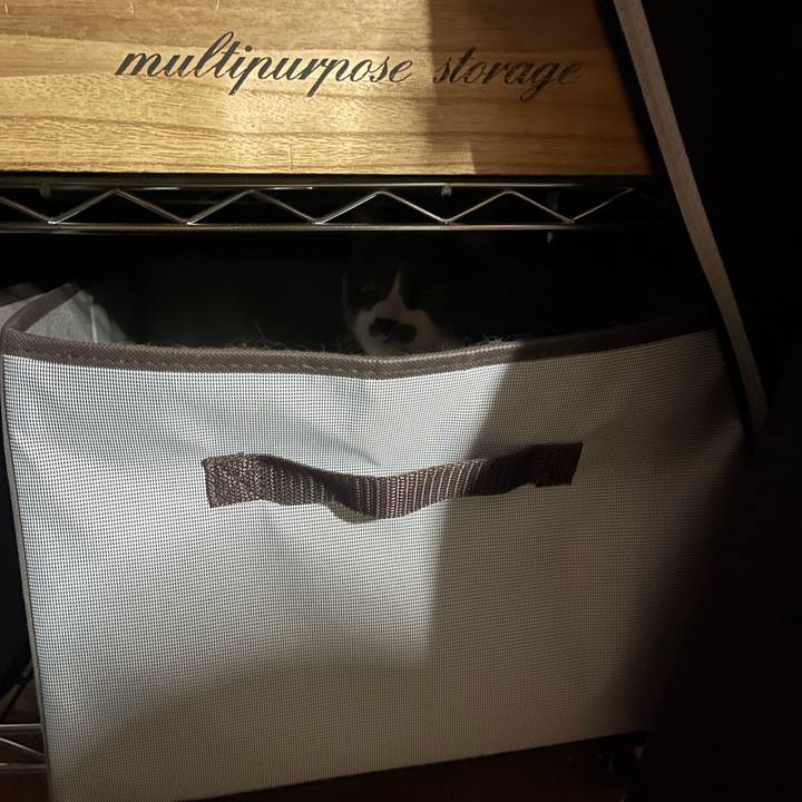 D69743ac 1dae 4cc3 b650 e283eab31736 1753535758775