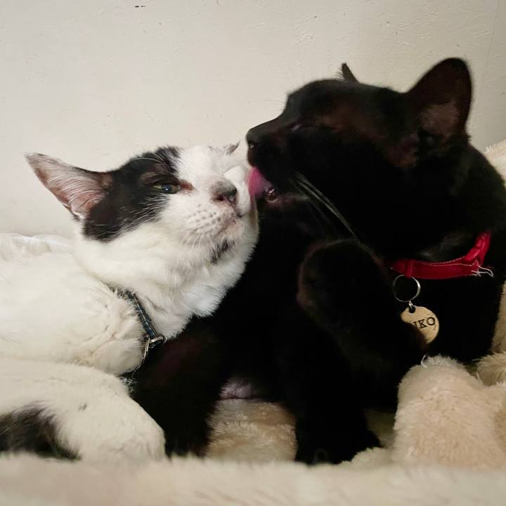 D69768b0 3844 4ac8 8db2 078670f3061a 1708866259646