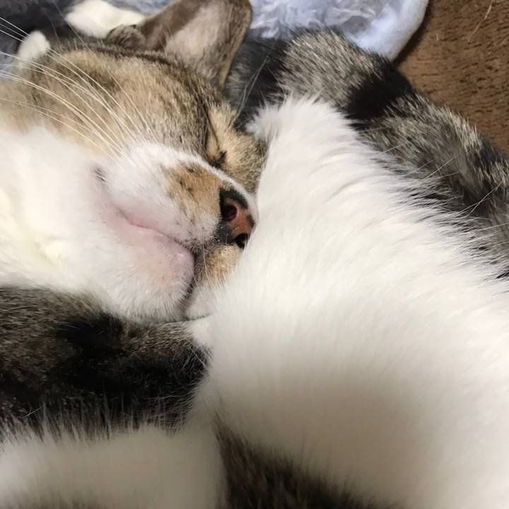 D6979651 3466 499c 8892 80010b3a9355 1514709602413