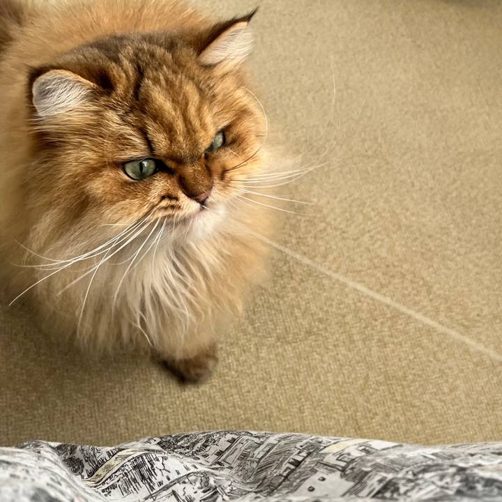 D6979bd6 9daa 4448 b958 2af95eedff99 1640603708142