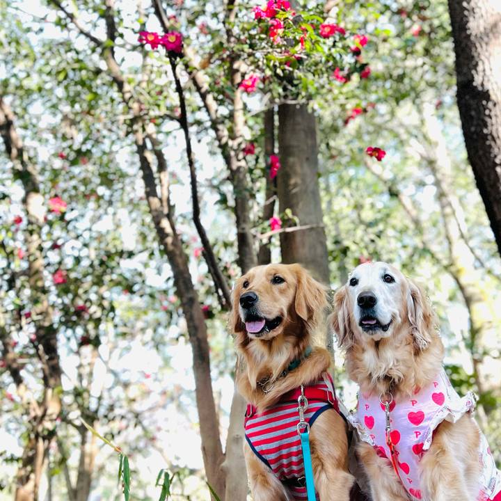 D697b23e 513b 492a b4e2 f944f425e2b3 1767491081953