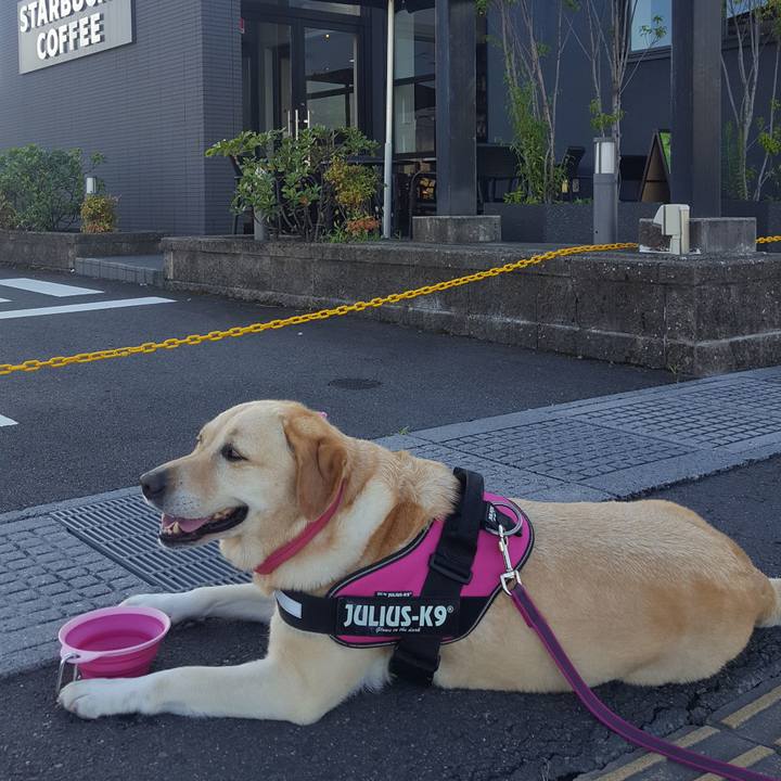 D697c30f accf 45ac a93c 841763fbcabf 1567901987020