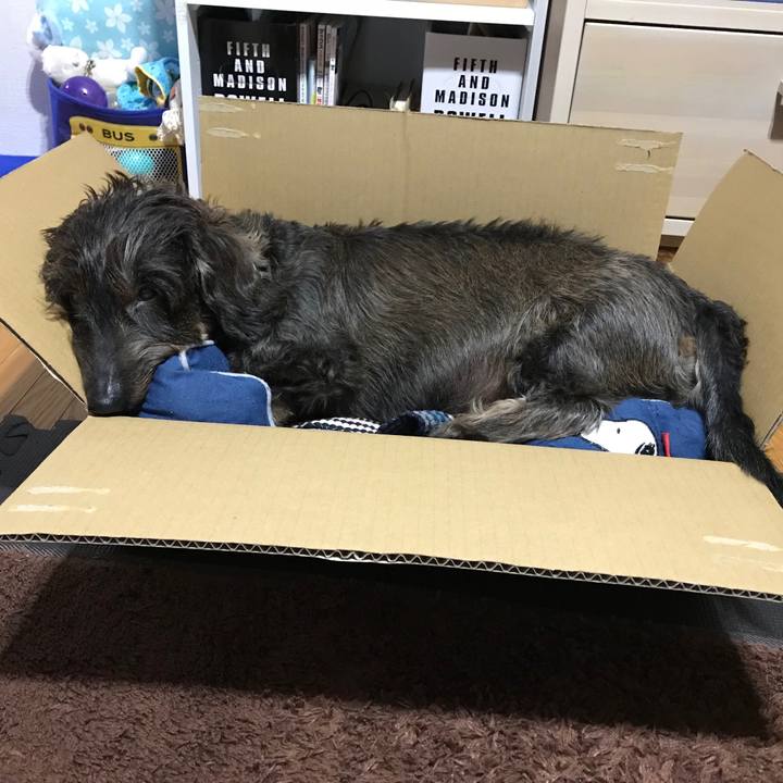 D697cd39 cb7e 4a74 8187 7fd0445b9ce7 1539871791065