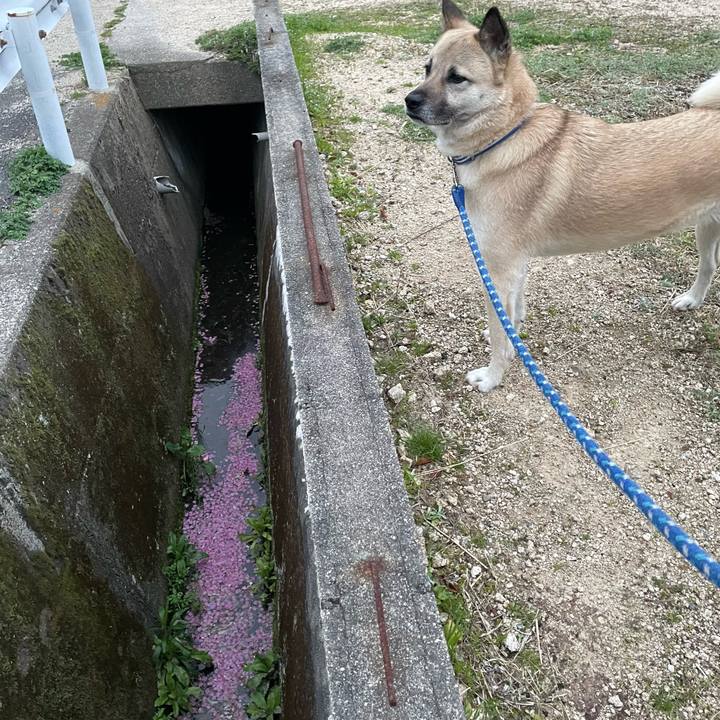 D697ec21 7cc7 45cc b0e2 0d0b31daf3a1 1648641688082