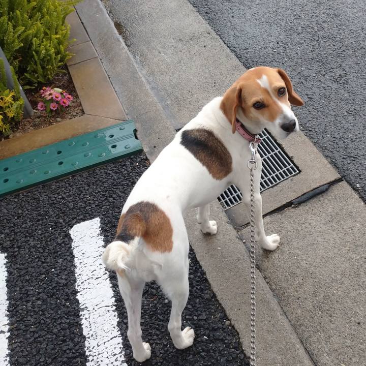 D697fbc7 6e86 4a5c 93d9 1c671a6caf38 1592019682916