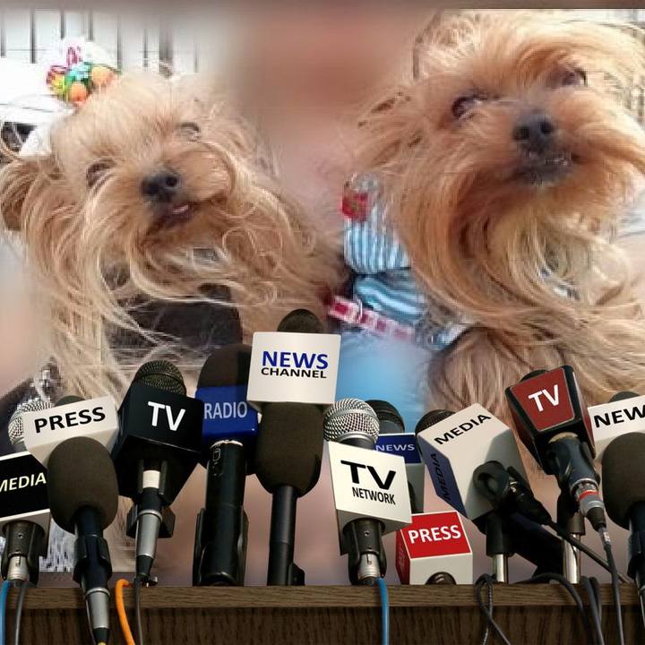 D6980375 57e7 4f76 a7eb f6b84563e8f8 1660365588391