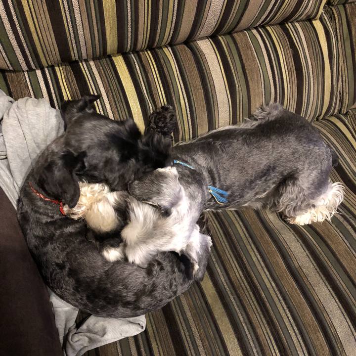 D6982224 d818 43db bc51 eba01d7e3a7c 1525961210996