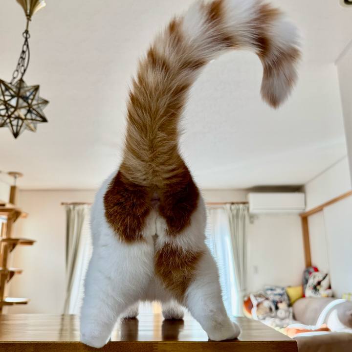 D69844e7 7c8c 46ac 8d54 c389f9b3e90e 1763774474175