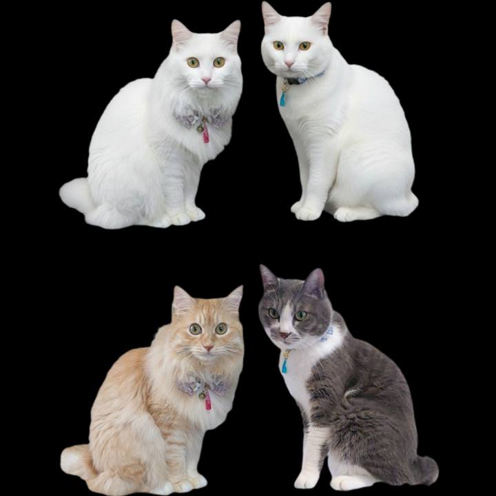 D6984fde 073e 426a b86b 6fceaf7be85a 1767495485928