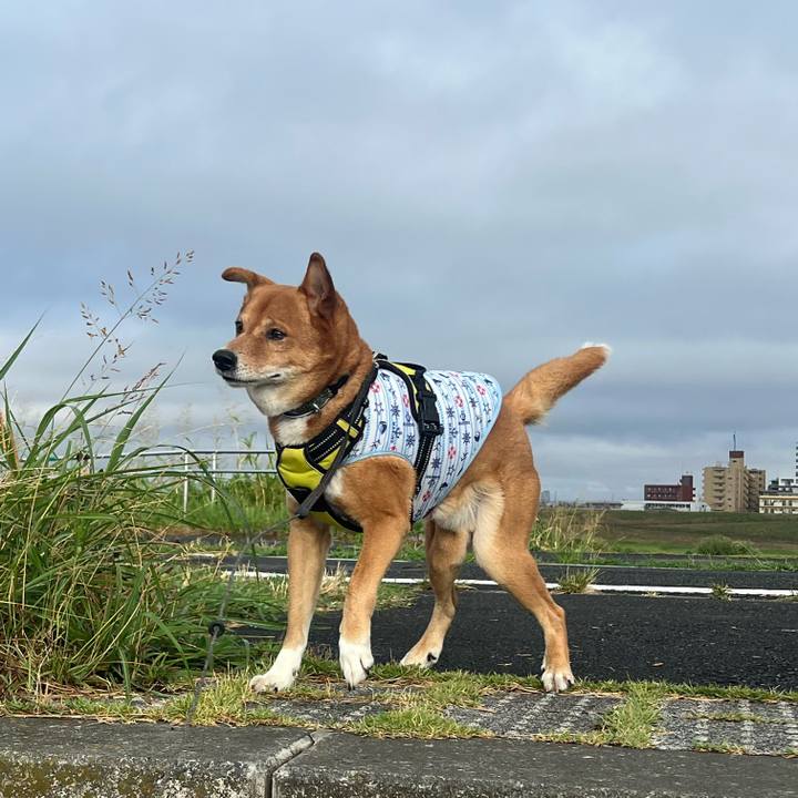 D6986ff6 24de 40c2 8261 c5094d9b441e 1691968163892