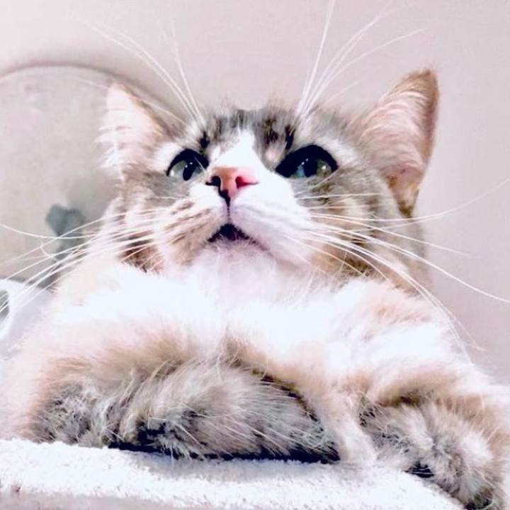 D69887d6 7a35 45f8 bbf8 da3d7ac863c3 1760024995594