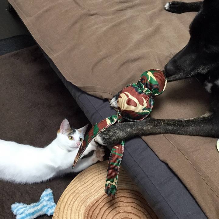 D698c5f3 5a59 434d 941f 3ececd7d558a 1549670609925