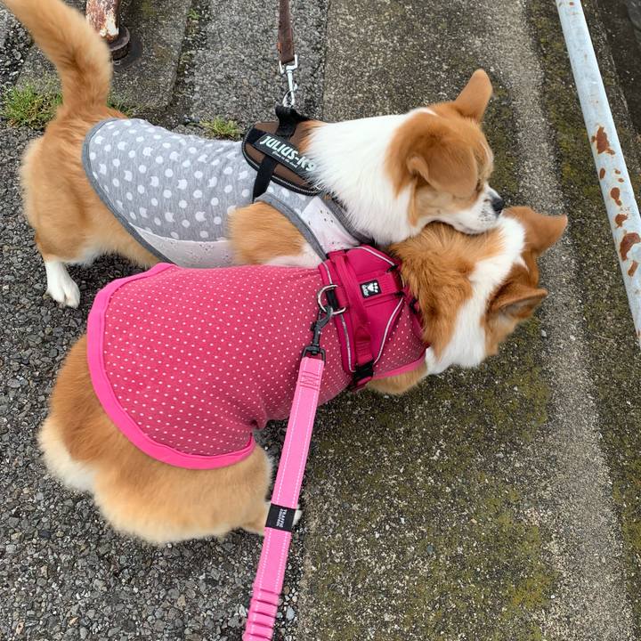 D698efba 0509 4af0 8f30 04c3e07c5077 1652415569805