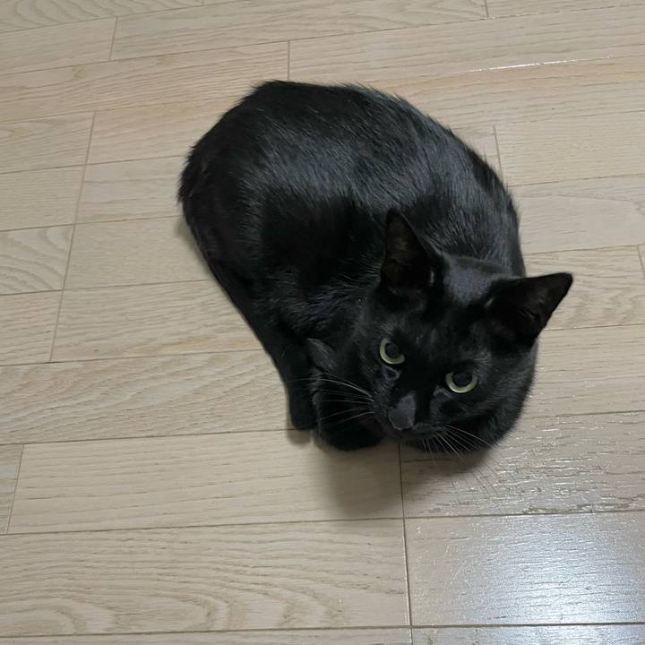 D69910f4 cecc 47d4 9e2b b0ee02e778f0 1725364685611