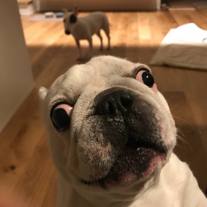 D6991864 6a86 4309 b34c def9c2c15fd9 1573725720725