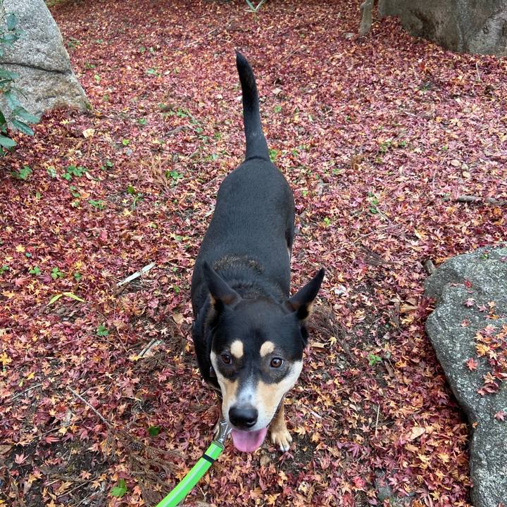 D6991910 a165 4a02 9982 41f61fe16fe2 1574847683552