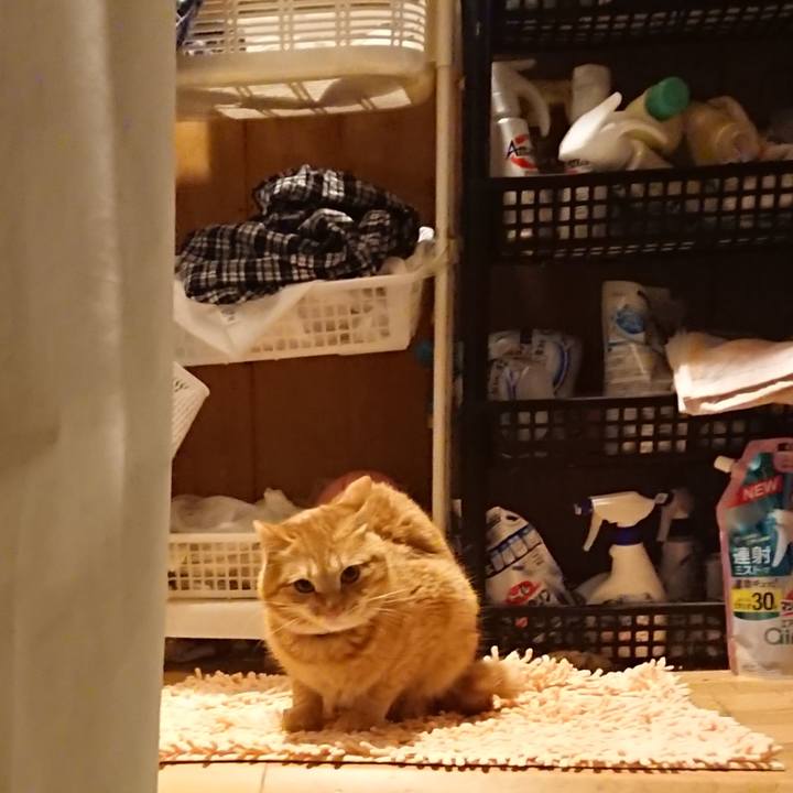 D699275e a572 4226 9639 c2543b04f50e 1654346307895