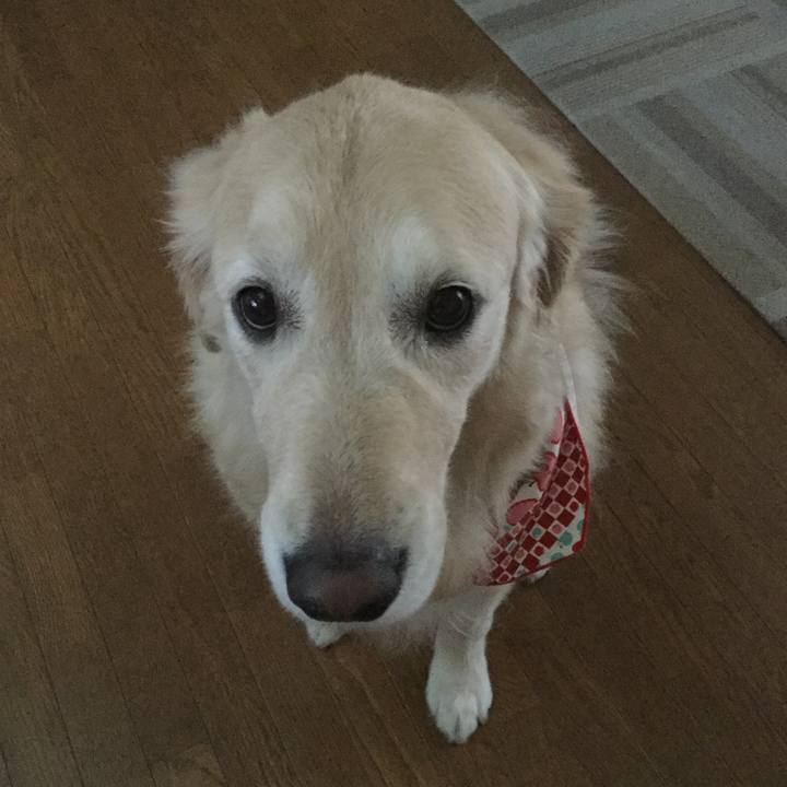 D6992a49 a159 42f4 9d43 570004b66a2a 1511854951734