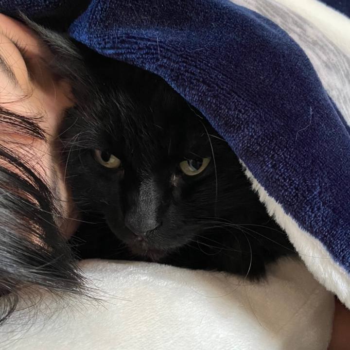 D69930a1 3ffe 4912 ab8c 85df0c5f675a 1613649272852