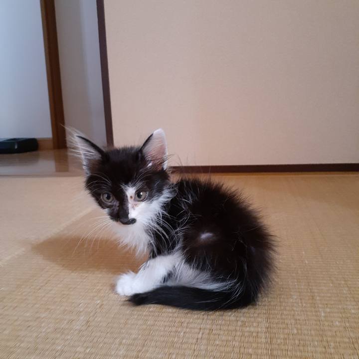 D6995a4c 90b2 4225 8598 8a811f81b335 1692922658381