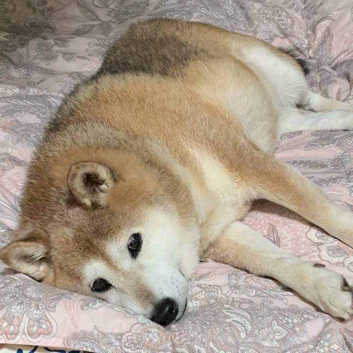 D6995d7a 2b31 4e3b 9a49 4747afa11c33 1582986534486