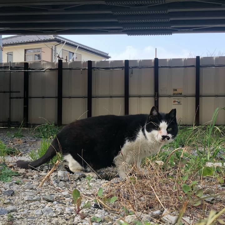 D699965b 1c76 41d7 a327 052da8654048 1585408959644