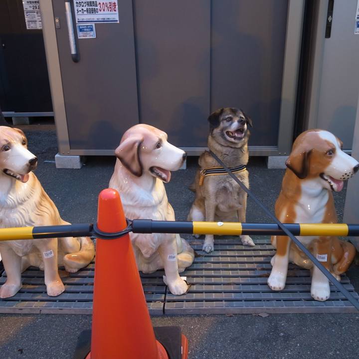 D699dda0 2da0 4e18 8bea 2198b1353ddb 1718324984076