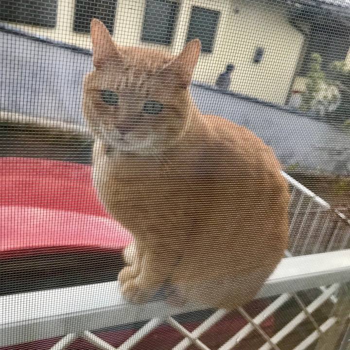 D699e369 5d90 4d38 a97b 81dc61398c46 1517137540355