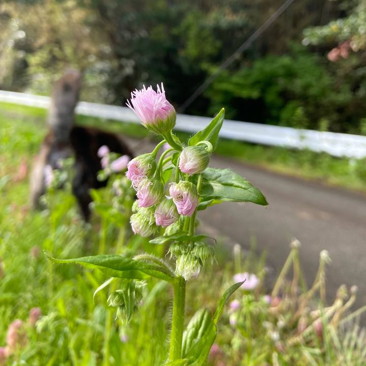 D699e711 4d31 49bd 8c1e 651cbd1c8dda 1589153719074