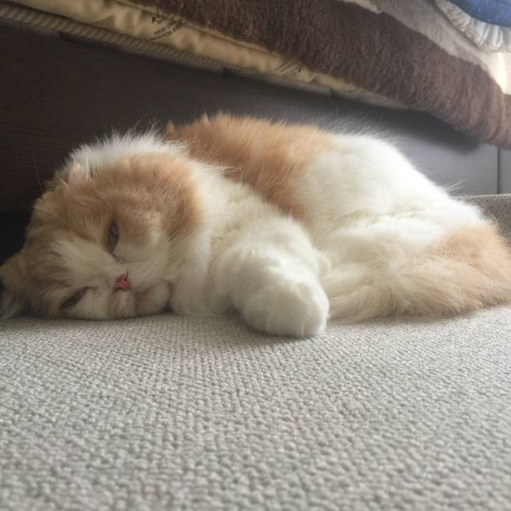 D699f8dc 9bb9 4ac0 963f 02549912a010 1589268259656