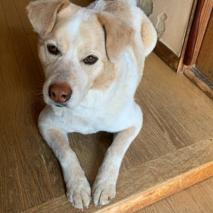 D69a308b b83c 45e0 a19d bb46f281867b 1586403286886