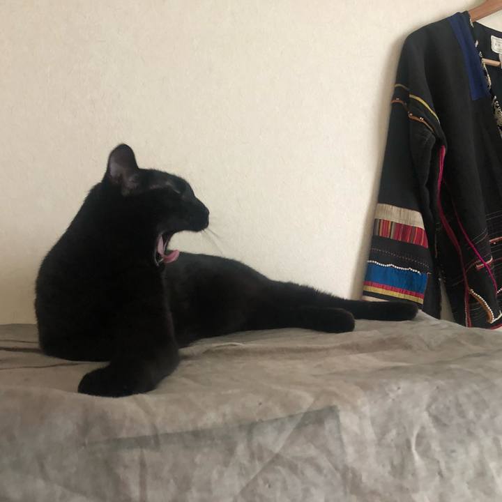 D69a45fe 485f 4556 9b89 ad6a8f10e7fb 1661817606047