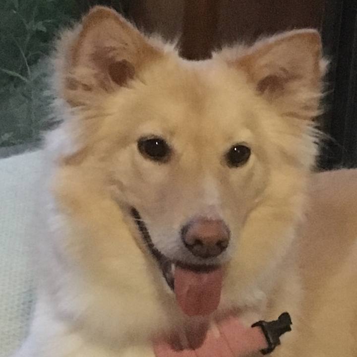 D69a4b98 1ff0 472b 9d75 75a4dbdd02f5 1528802702281