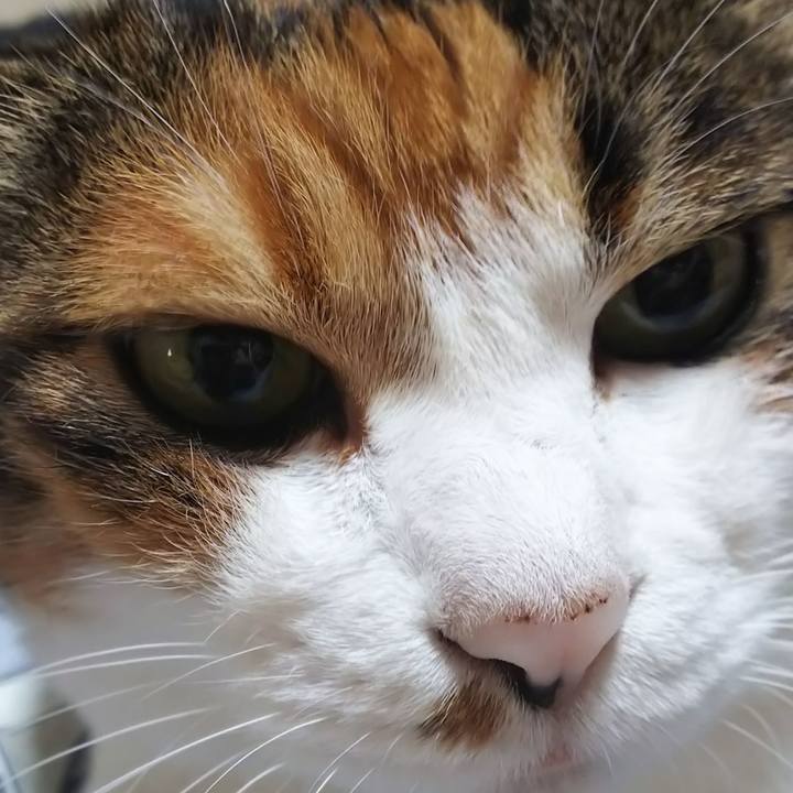 D69a5549 f26f 4158 b640 638ec3873ea4 1567212212565