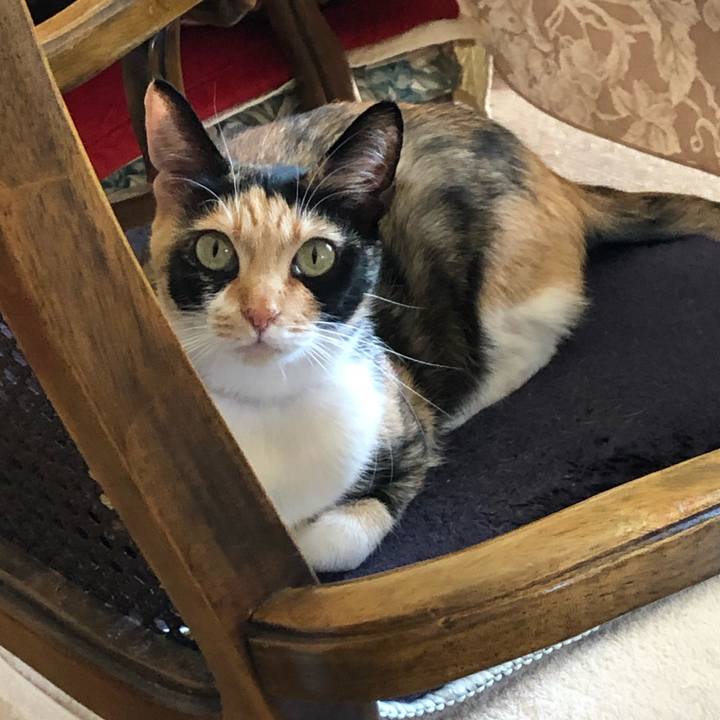 D69a659a 45fe 4cf1 b739 c18f5e8e1cc9 1552631885256