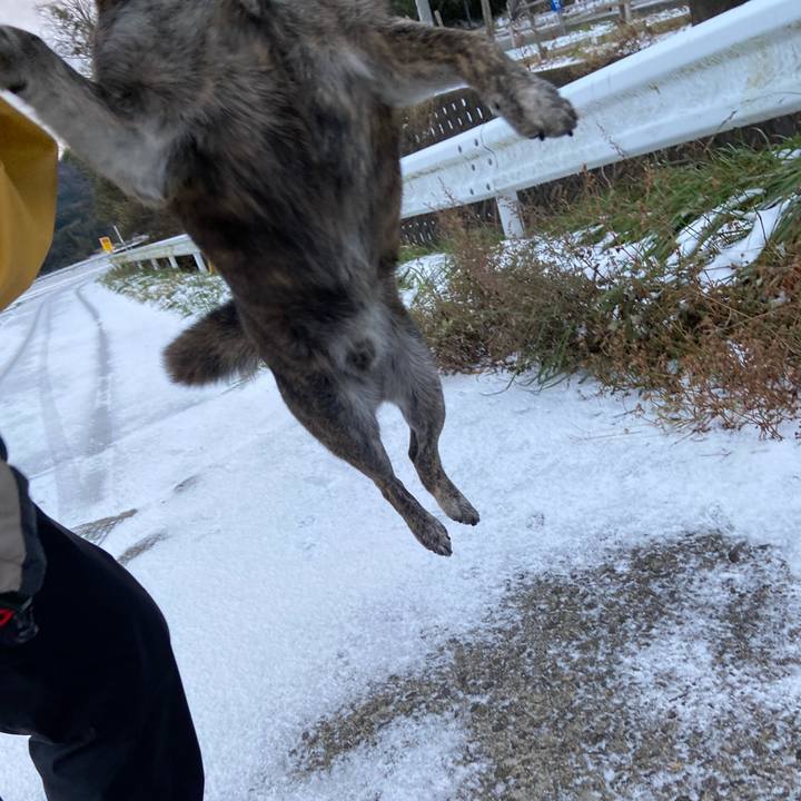 D69a7493 afa1 4d28 98b4 fe7a2e07ebe3 1608071197500